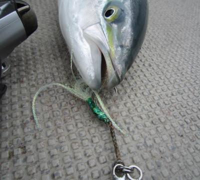 IMG_1227_convert_20110307104849